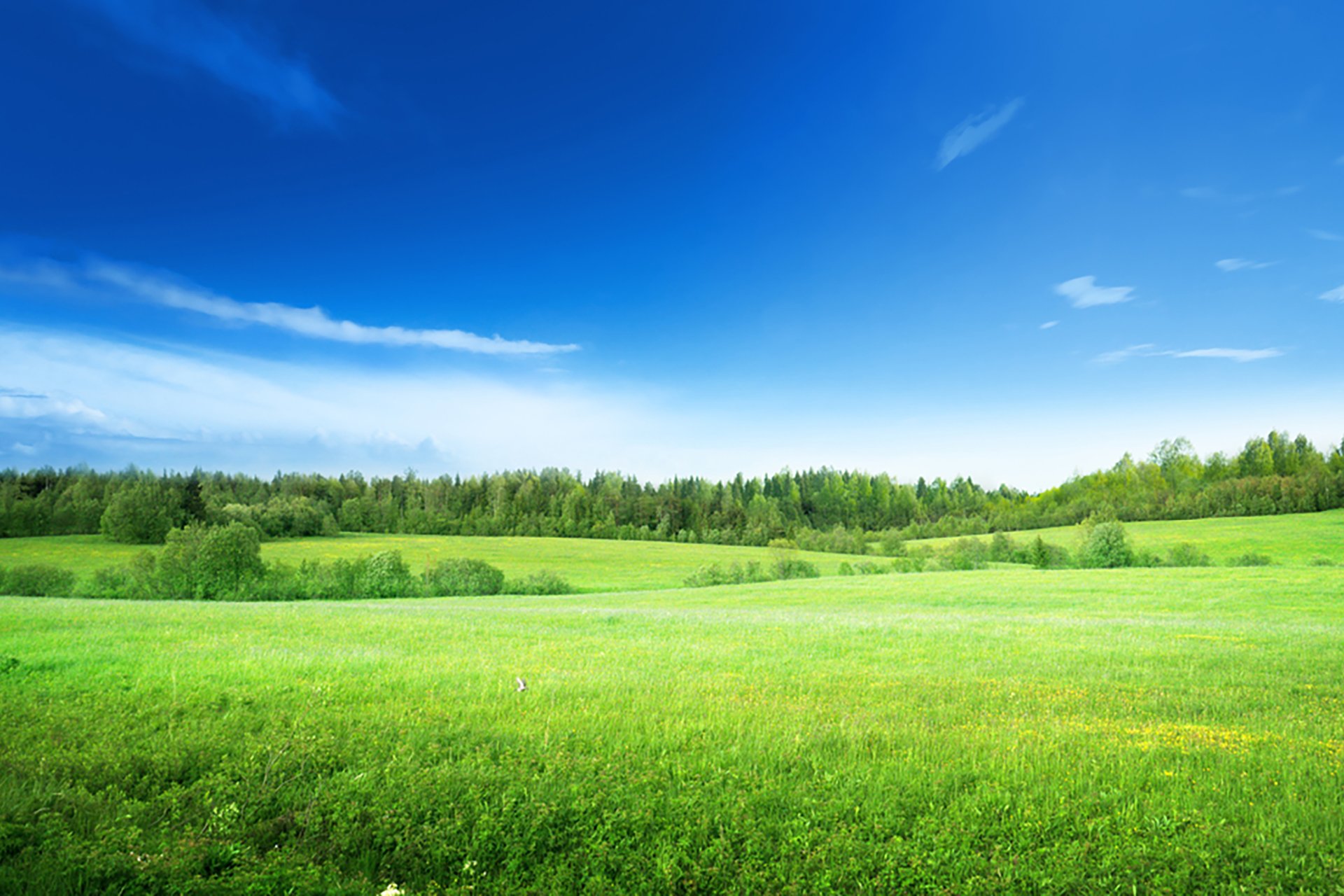 05-PLX-home-field-of-grass-and-perfect-sky-DE